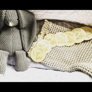 NWT Set of Milestone Discs